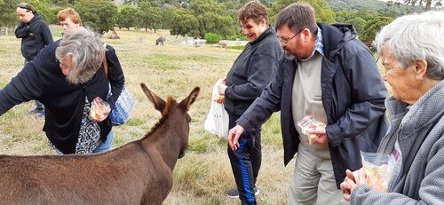 Interclub Ballarat - Club Outings